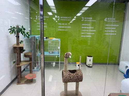 松山湖智能宠物用品畅销全球，单品销售额突破千万元